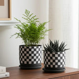 Two potted plants in checkered pots on a wooden surface.
