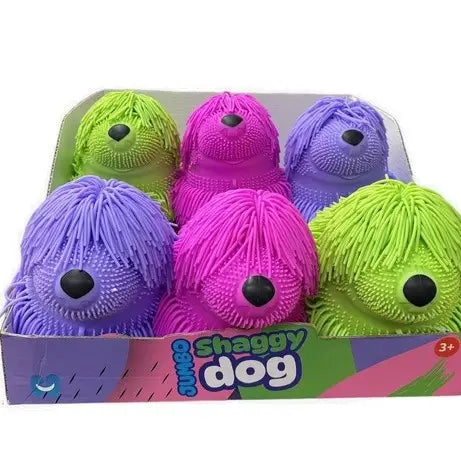 Set of colorful 'Shaggy Dog' toys in a box on a white background