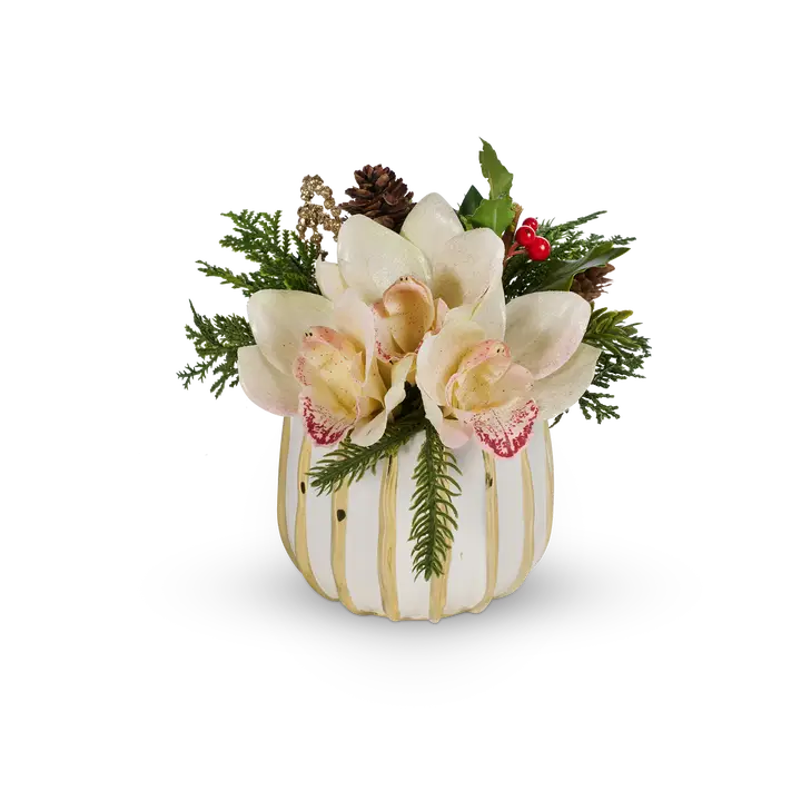 A decorative floral arrangement in a white pumpkin-shaped vase with vertical gold stripes. The arrangement features large cream-colored orchids with pinkish-red centers, green pine branches, a small pinecone, and red berries, set against a plain white background.