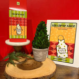 Potted plant on a wooden stand with 'Ala carte Alice' branding in the background.