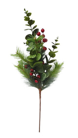 cedar berry pick
