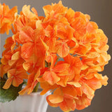 Close-up of vibrant orange flowers with a blurred background