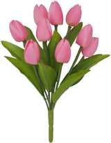 pink tulips on white backround