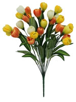 colorful tulip bush on white background