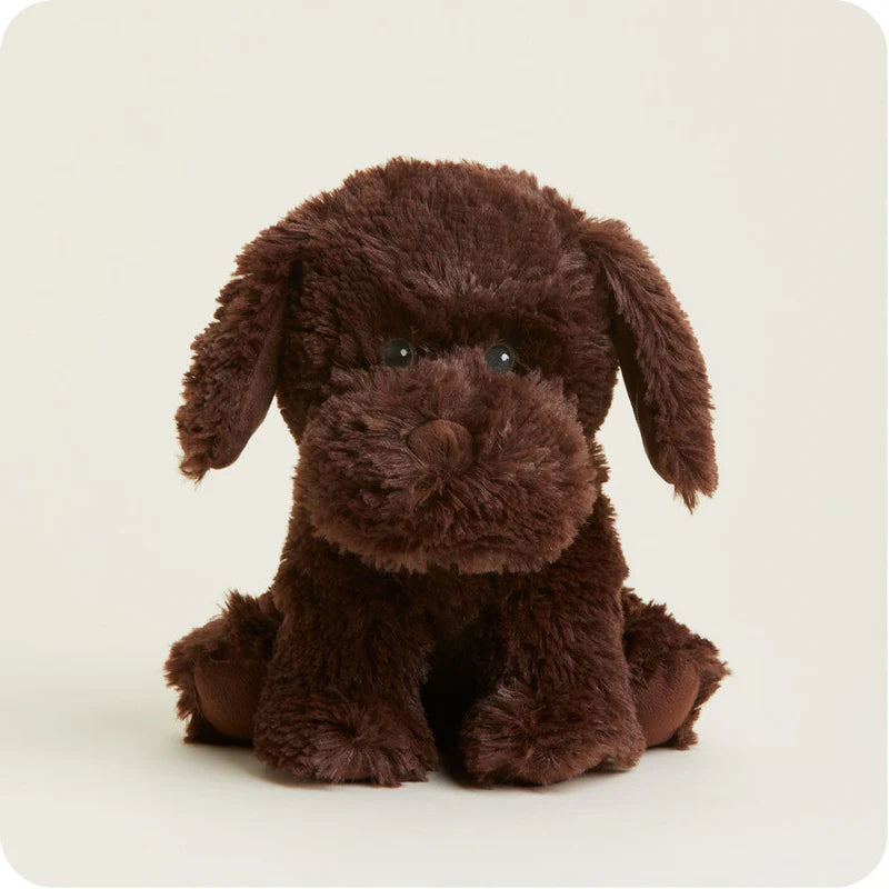 brown dog warmie
