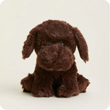 brown dog warmie