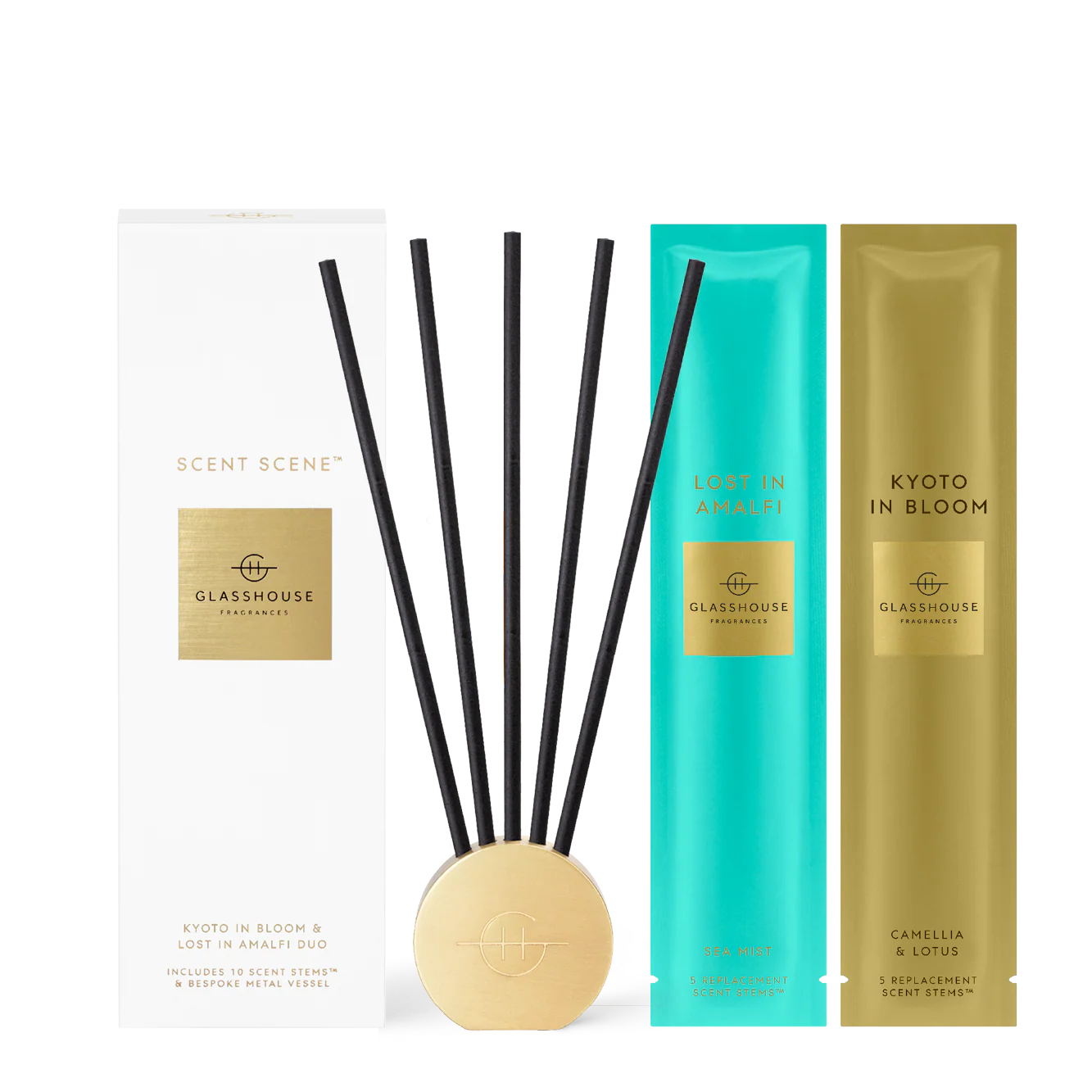 Reed diffuser set with packaging on a white background
