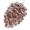 Pine cone with snow on a white background