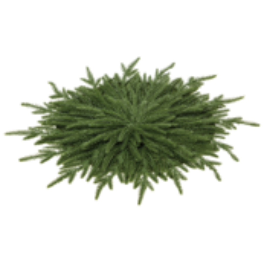 Pile of green pine needles on a white background