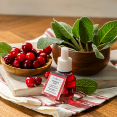 Wall Scent Refill