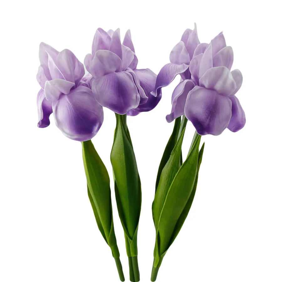 Two purple tulips with green stems on a white background
