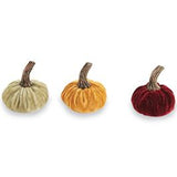 Pumpkin Placecard Assortment