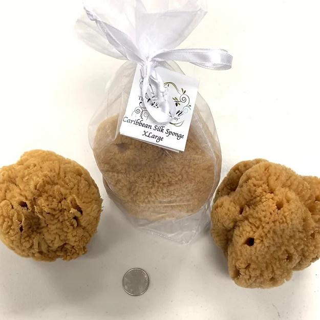 CARIBBEAN SILK FACIAL SPONGE LG