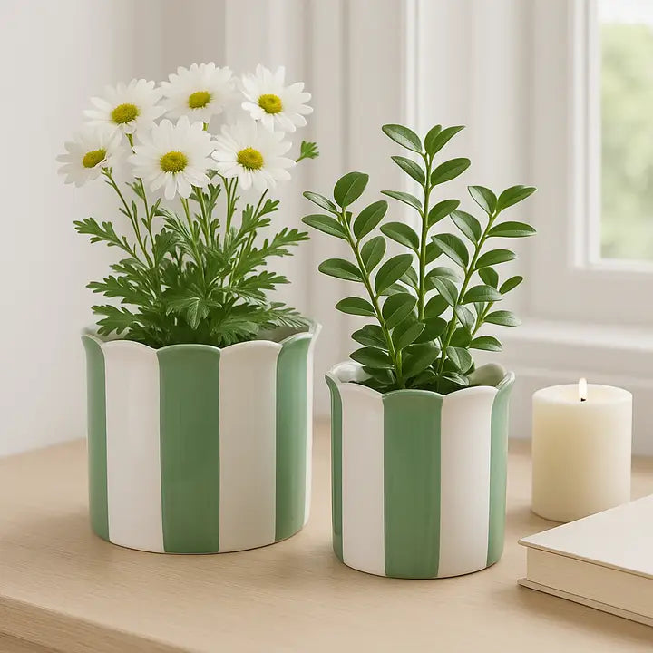 Two potted plants in green and white striped pots on a wooden surface with a candle and book in the background.