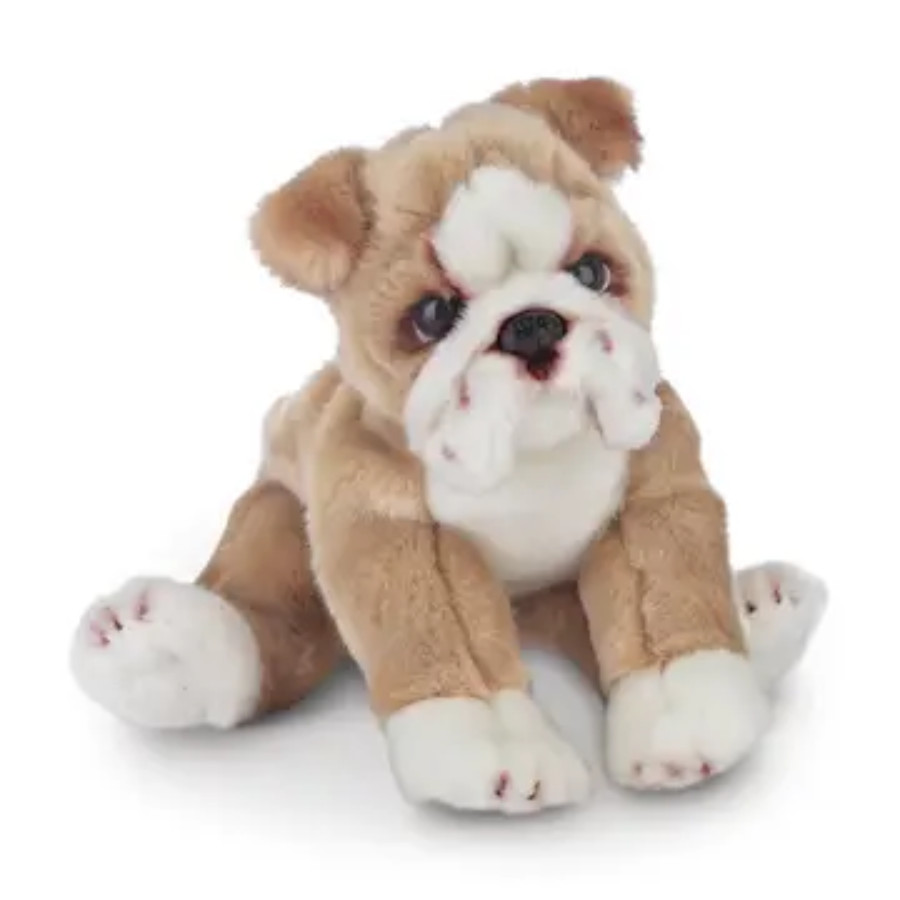 A plush toy  a dog with a smushed face tan with white feet and nose 