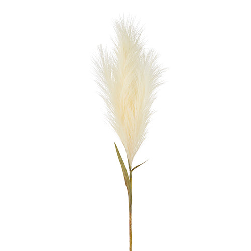 33'' Pampas Grass Plume Stem