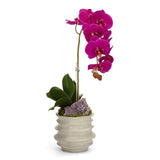 A vibrant magenta Phalaenopsis orchid flower in a textured white ceramic pot with green leaves and a purple crystal accent, set against a plain white background.