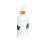 6221/CB HAND WASH 24.99