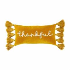 A rectangular velvet throw pillow with the word 'blessed' written on it, adorned with tassels on the sides.