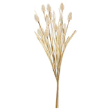 16'' BUNNY TAIL PAMPAS GRASS BUNDLE