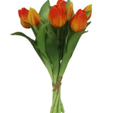 Bouquet of red and yellow tulips on a white background