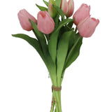 Bouquet of pink tulips on a white background