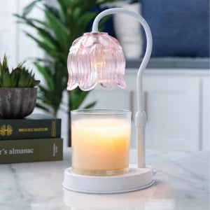Decorative lamp with a pink glass shade on a white surface, with books and plants in the background.