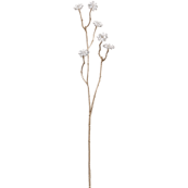 Single white flower on a thin branch against a white background