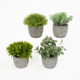 This image displays a set of four artificial green pots, each containing a different type of plant. The pots are arranged against a white background, emphasizing their varied contents.